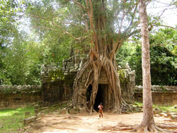 angkor3.jpg