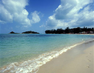 beach.jpg