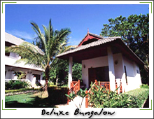 bungalow_deluxe_b01.jpg